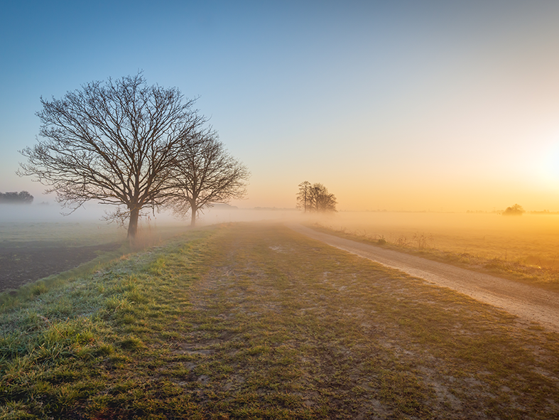 lanscape morning sun